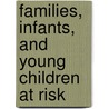 Families, Infants, and Young Children at Risk door Gail L. Ensher