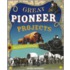 Great Pioneer Projects You Can Build Yourself