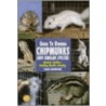 Guide To Owning Chipmunks And Similar Species door Chris Henwood