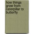 How Things Grow From Caterpillar To Butterfly