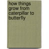 How Things Grow From Caterpillar To Butterfly by Sally Morgan