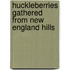 Huckleberries Gathered from New England Hills