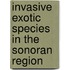 Invasive Exotic Species in the Sonoran Region