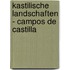 Kastilische Landschaften - Campos de Castilla