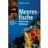 Meeresfische Westeuropas und des Mittelmeeres