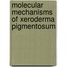 Molecular Mechanisms Of Xeroderma Pigmentosum door S. Ahmad