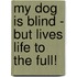My Dog Is Blind - But Lives Life To The Full!