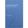 Narrating The Rise Of Big Business In The Usa door Anne Mayhew