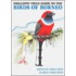 Phillipps' Field Guide To The Birds Of Borneo