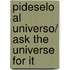 Pideselo al universo/ Ask the Universe for It
