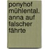 Ponyhof Mühlental. Anna auf falscher Fährte