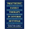 Practicing Family Therapy in Diverse Settings door Michael Berger