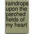 Raindrops Upon The Parched Fields Of My Heart