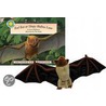Red Bat at Sleep Hollow Lane [With Plush Bat] by Janet Halfmann
