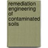 Remediation Engineering of Contaminated Soils