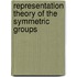 Representation Theory Of The Symmetric Groups