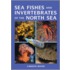 Sea Fishes And Invertebrates Of The North Sea