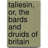 Taliesin, Or, the Bards and Druids of Britain door David William Nash