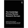 The Cambridge Primary Review Research Surveys door Robin Alexander