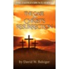 The Case For Christ's Resurrection [with Dvd] by Michael Minor