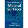 The Physics and Chemistry of Mineral Surfaces door Patrick Brady