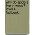 Why Do Spiders Live In Webs? Level 4 Factbook