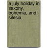 A July Holiday in Saxony, Bohemia, and Silesia door Walter White