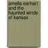Amelia Earhart and the Haunted Winds of Kansas