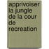 Apprivoiser La Jungle De La Cour De Recreation