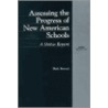 Assessing the Progress of New American Schools door Mark Berends