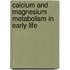Calcium and Magnesium Metabolism in Early Life