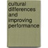 Cultural Differences And Improving Performance