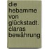 Die Hebamme von Glückstadt. Claras Bewährung