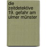 Die Zeitdetektive 19. Gefahr am Ulmer Münster door Fabian Lenk
