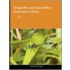 Dragonflies And Damselflies (Odonata) Of Texas
