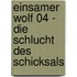 Einsamer Wolf 04 - Die Schlucht des Schicksals