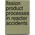 Fission Product Processes in Reactor Accidents