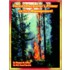 Forest Interpreter's Primer On Fire Management
