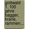 Gottwald 1. 100 Jahre Bagger, Krane, Rammen... door Wolfgang Weinbach