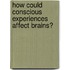 How Could Conscious Experiences Affect Brains?