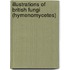 Illustrations Of British Fungi (Hymenomycetes)