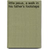 Little Jesus, A Walk In His Father's Footsteps door Janet Carr