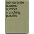 Mensa Brain Busters - Number Crunching Puzzles