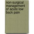 Non-Surgical Management of Acute Low Back Pain