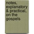 Notes, Explanatory & Practical, on the Gospels