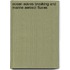 Ocean Waves Breaking And Marine Aerosol Fluxes