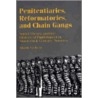 Penitentiaries, Reformatories, and Chain Gangs by Mark Colvin