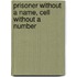 Prisoner Without a Name, Cell Without a Number