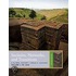 Societies, Networks, and Transitions, Volume I