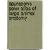 Spurgeon's Color Atlas Of Large Animal Anatomy